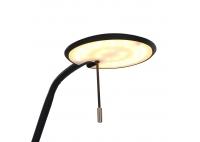 Zenith 4 Black Floor Lamp