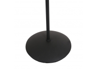 Biron Black Floor Lamp