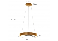 Ringlede XL Brass Hanging Lamp