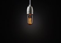 Tube Decorative Light Bulb