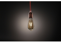 Edison LED 4W decorative light bulb